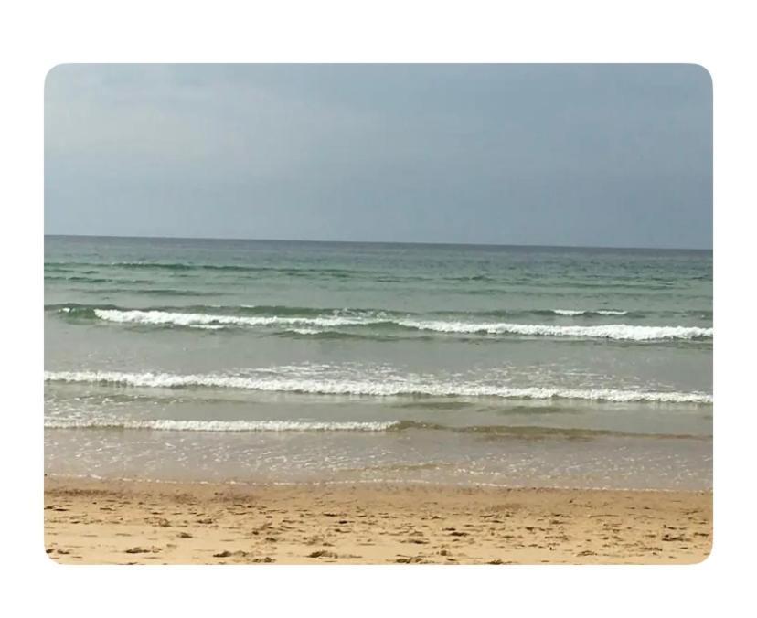 Studio A Linxe Entre Terre Et Ocean מראה חיצוני תמונה